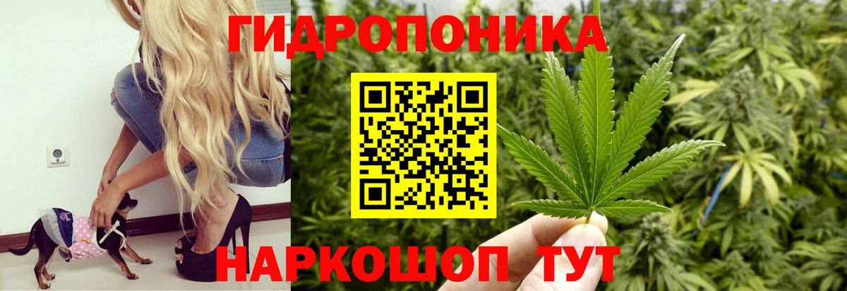 Конопля MAZAR Лабинск